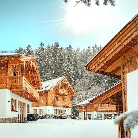 Luxury Chalets Gradenbach Near Schladming 하우스 임 엔슈탈 외부 사진