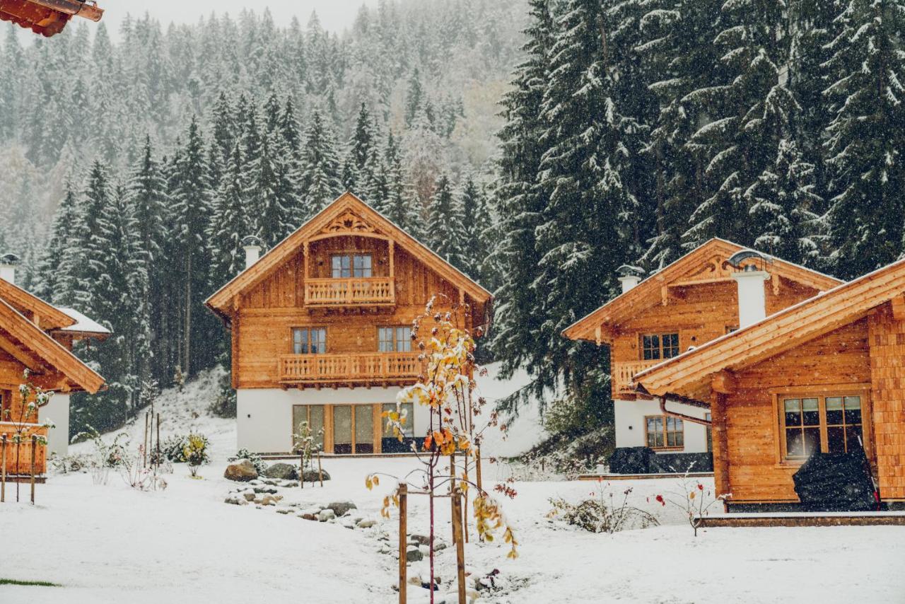 Luxury Chalets Gradenbach Near Schladming 하우스 임 엔슈탈 외부 사진